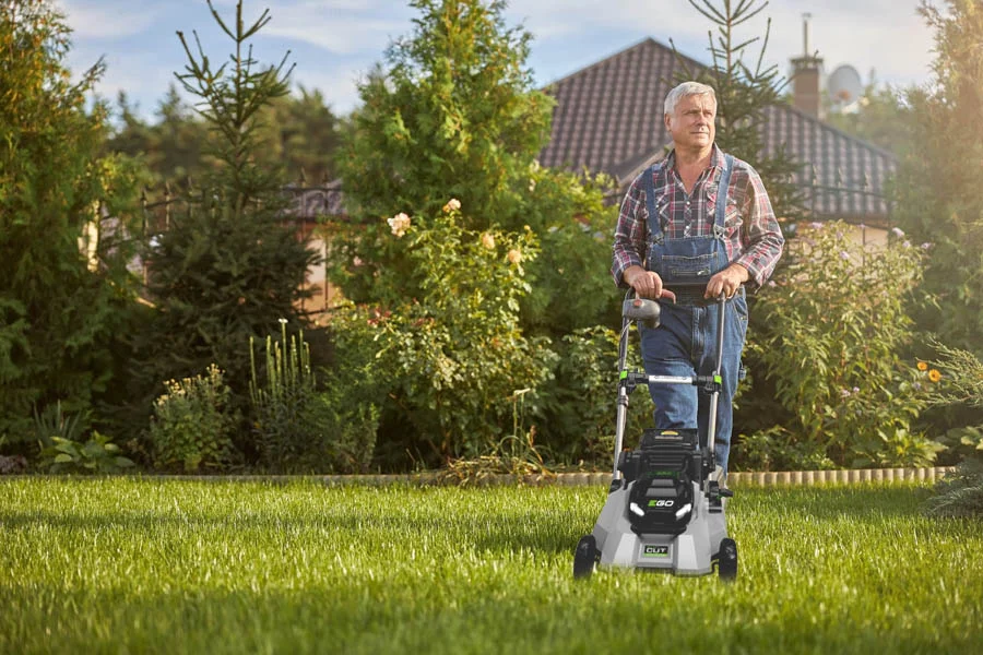 push lawn mower reviews